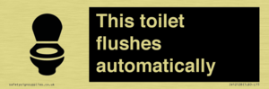This toilet flushes automatically